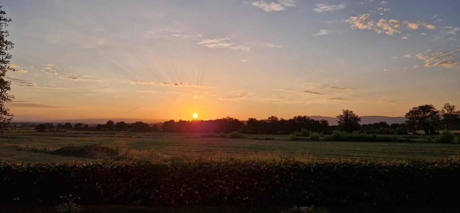 Agriturismo Il Canneto カーゾレ・デルザ エクステリア 写真