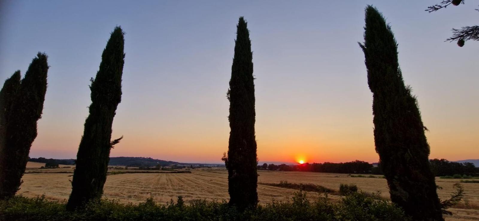Agriturismo Il Canneto カーゾレ・デルザ エクステリア 写真